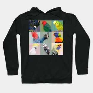 I Dream In Bird Hoodie